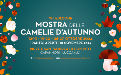 VIII Mostra camelie a fioritura autunnale, il programma 2024